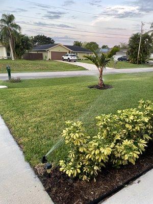 New irrigation system and landscaping.