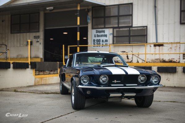 67 Shelby gt500