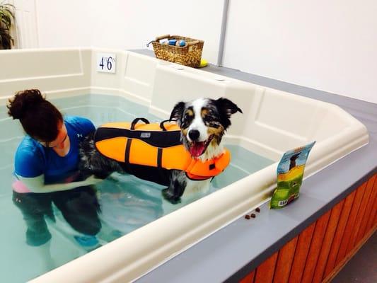 Jones in hydro-therapy pool (enjoying a little mid-workout massage)