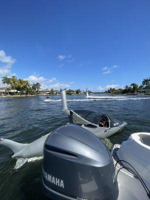 Seabreacher flyboarding and surfing