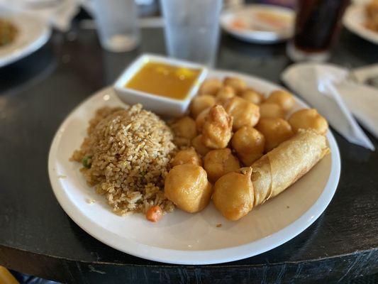 Sweet & Sour Chicken (lunch portion)