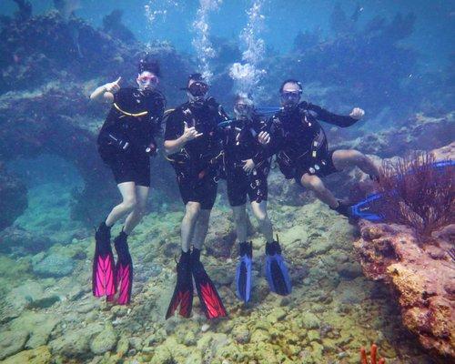 Post hurricane diving at molasses reef