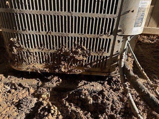 Dream Builders piled clay against our HVAC units when excavating to repair a high voltage line they severed.  This is the mess they left.