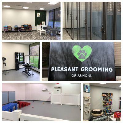 Pleasant Grooming of Armonk's new luxurious facility!