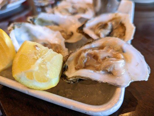 Fresh raw oysters. Pairs of Blackberry (VA, $2.75 each), Whitestone (VA, $3.25 each), and Smith Point (WA, $3.00 each).