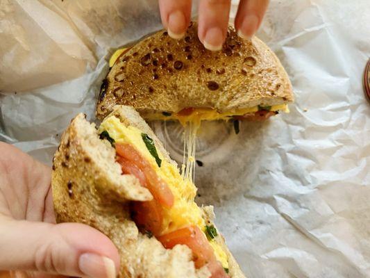 Whole Wheat Tomato Basil Egg Cheese Bagel