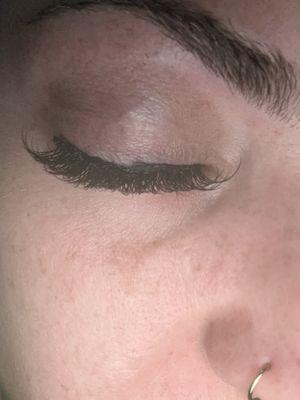 Lash And Brow Spa