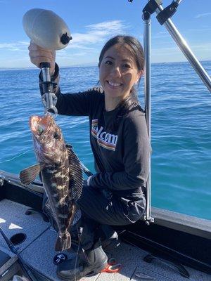 Lingcod out of Santa Cruz Ca.