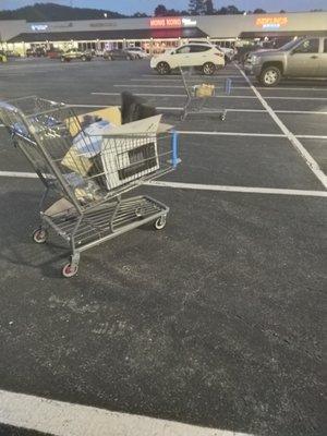 Their carts can be found on property not their own . Sometimes full of trash . It's disgusting .