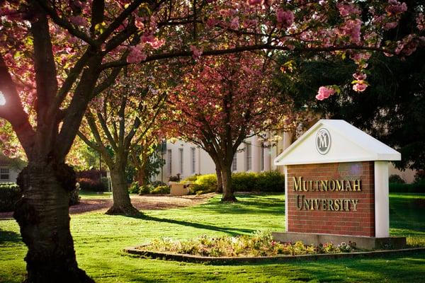 Spring time trees and flowers at the Multnomah University Glisan Street sign in Portland.