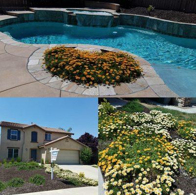 YESSSS, we DO pool INSPECTIONS!! We are extremely knowledgeable at what we do!