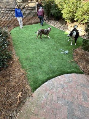 Install artificial turf. Also help with water management solution in backyard.