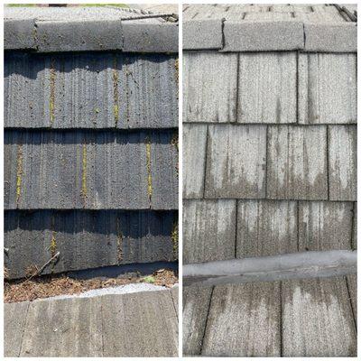 Before and after photos of a tile roof cleaning.