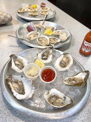 Raw Oysters and Clams