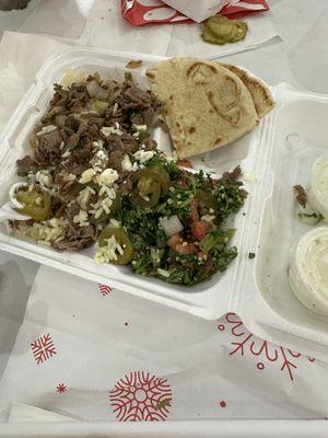 Gyro Plate combo