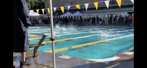 Anaheim Aquatics swim meet