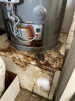 Water heater leak causing mold damage