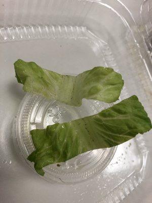 Lettuce was not clean