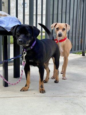 Loretta & Fiona