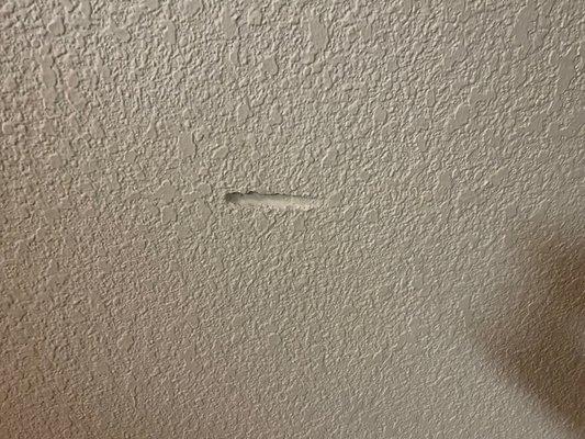 Another chunk out of the wall in the family room they will likely blame us for