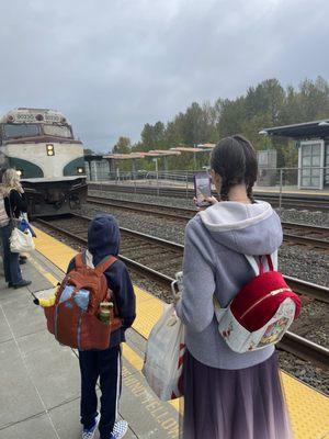 Train arriving in Tukwila from the north