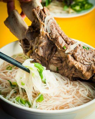 Back Rib Pho