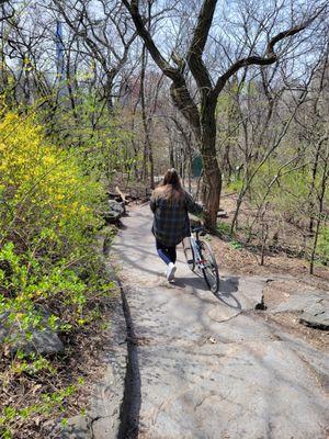 You have to walk the bikes on the paths