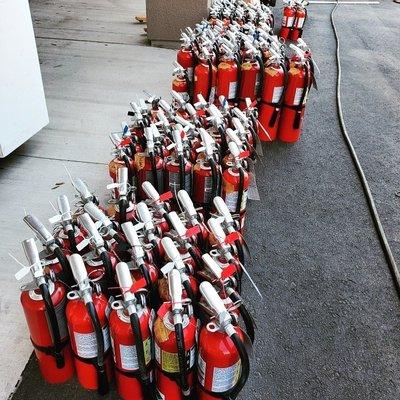 Annual Fire Extinguisher Certifications