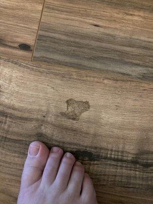 Spots on floor not cleaned