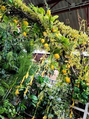 Showing off greenery and artificial fruit (lemons)