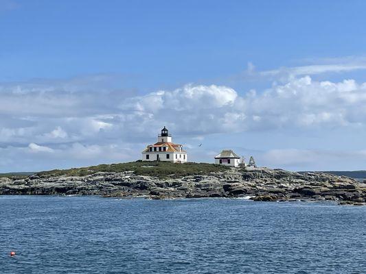 Acadian Boat Tours