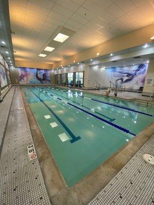 Pool with new lanes and Hot Tub