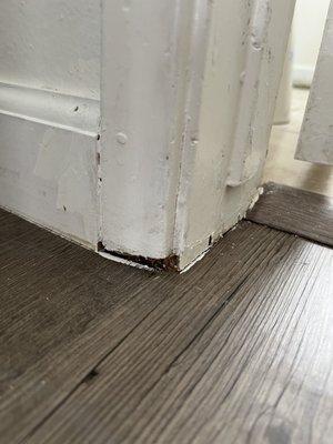 another hole in baseboards where bugs crawl through