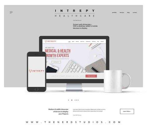 Web design for Intrepy healthcare atlanta