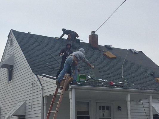 Hard at work! 50yr. Timber lines on this property.