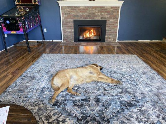 My pup enjoying the new fireplace.