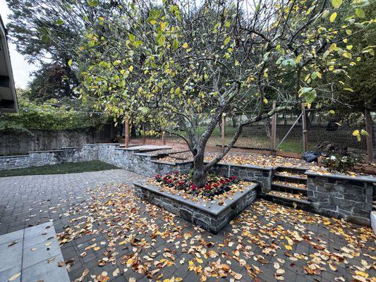 Pavers with a lawn and new masonry wall.