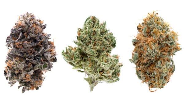 Exotic Cannabis Strains we carry !!