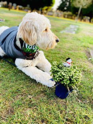 Best support! Christmas visit to our angel with Baci.