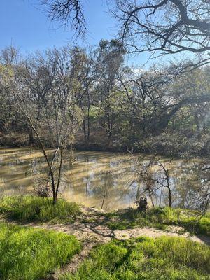 Putah Creek Riparian Reserve