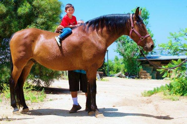 Families welcome at Rancho de los Cielos.