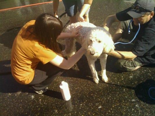 Maddy gets a much needed bath