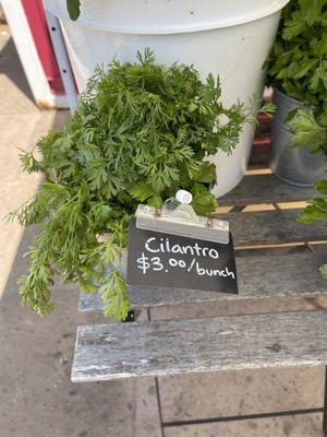 Locally sourced cilantro