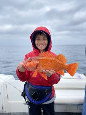 My son's first Red Rock Fish.