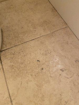 Move-in condition: Dirty bathroom floor