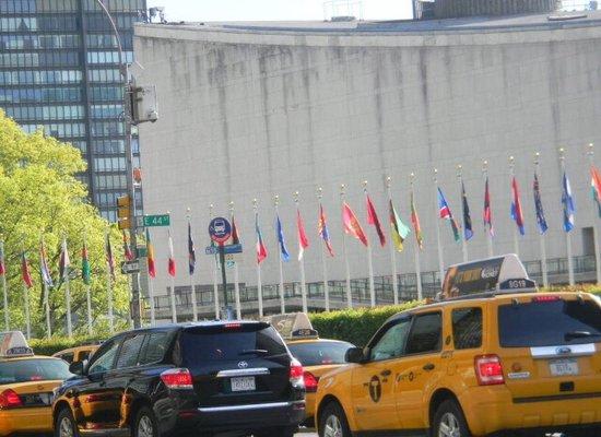 The United Nations Flags.