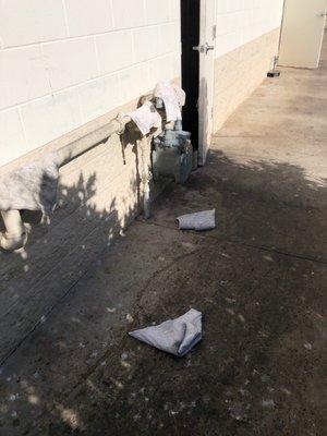 Photo taken Sept 2019 & reported to DoH.  Not much appears to have changed. Kitchen towels drying in bird poo.