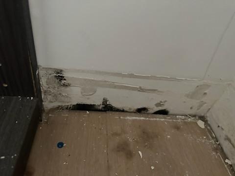 Mold that was behind the baseboard from the HVAC leaking due to Airbest install errors