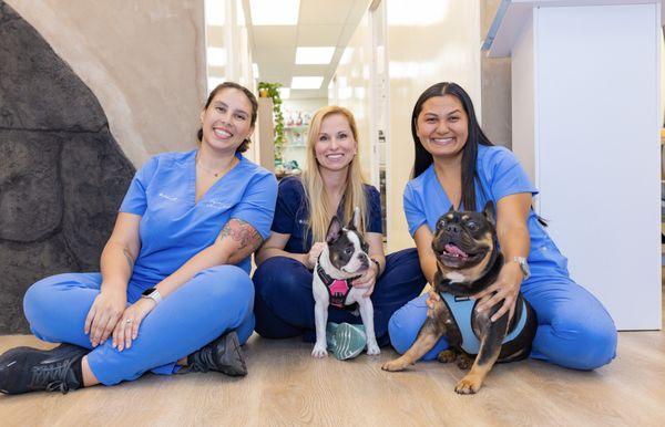 The Team at Pilina Vet is world-class, ensuring you get the answers you deserve.