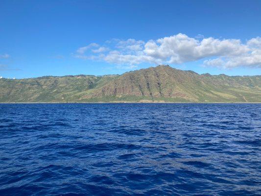 Whale watching and snorkeling boat ride view